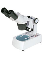 体视显微镜（双目10倍、80倍）