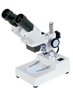 体视显微镜（双目4倍、100倍）