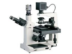 倒置生物显微镜（100X-400X）