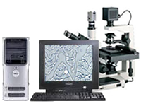 显微图像分析系统软件