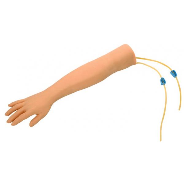 高级静脉刺手臂训练模型