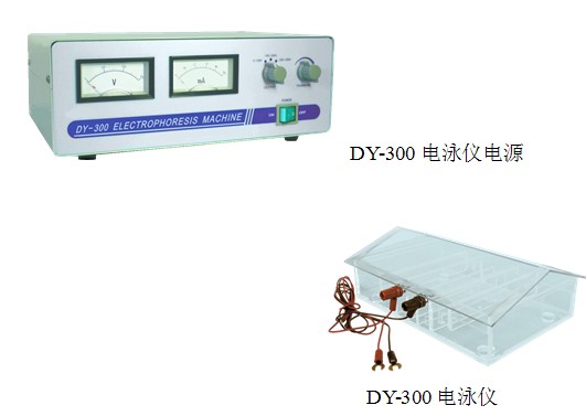 电泳槽 DY-300、DY-600