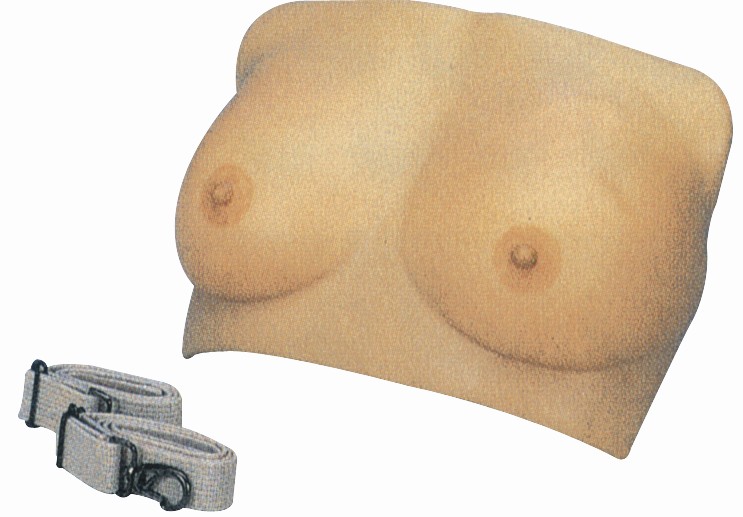 高级乳房检查模型